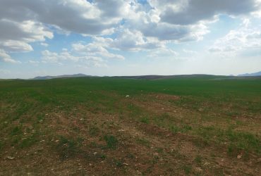 زمین 4 هکتاری