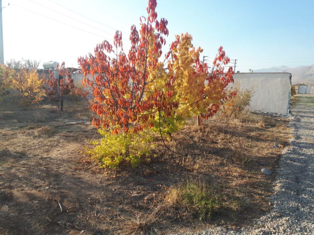 جابان  باغچه 320 متری با انشعابات