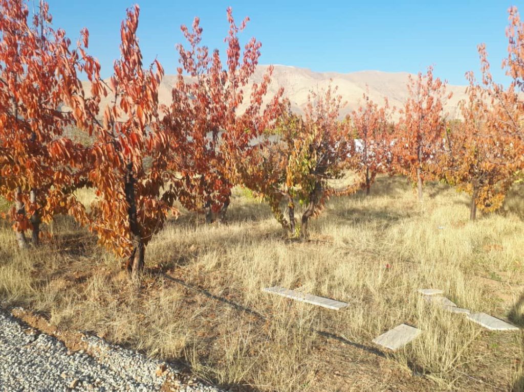 جابان  باغچه 320 متری با انشعابات