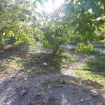 جابان باغچه 800مترباسندتکبرگ وبرق وگاز