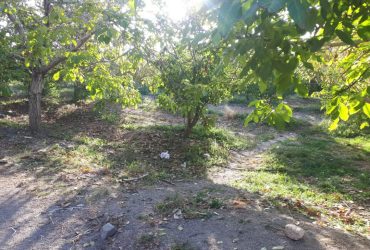 جابان باغچه 800مترباسندتکبرگ وبرق وگاز