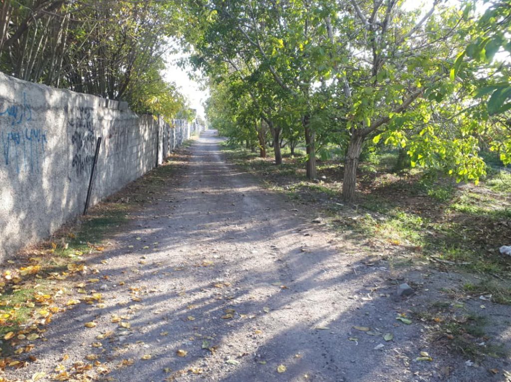 جابان باغچه 800مترباسندتکبرگ وبرق وگاز