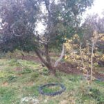 جابان زمین 700 متر