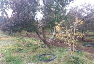 جابان زمین 700 متر