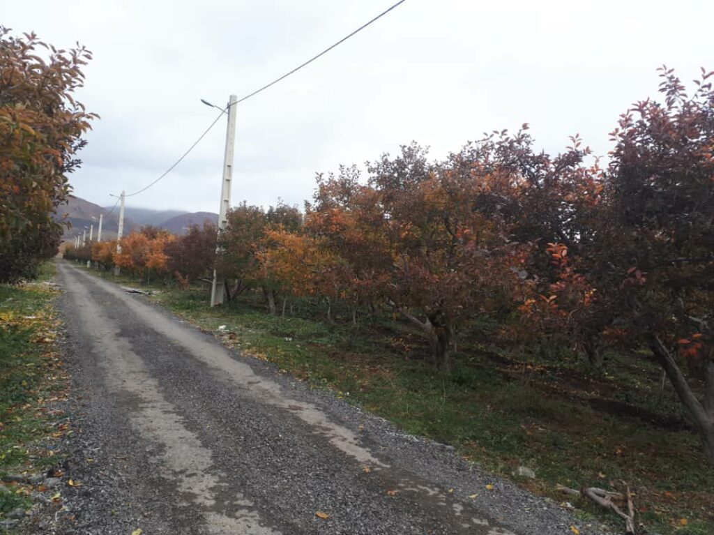 جابان زمین 700 متر