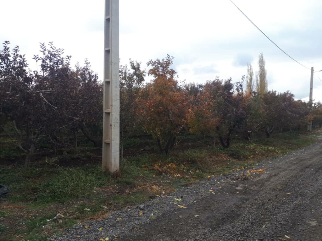 جابان زمین 700 متر