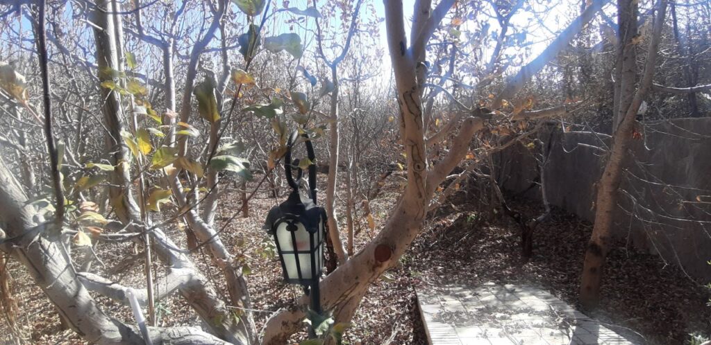 جابان  ویلا بهترین خیابان جابان