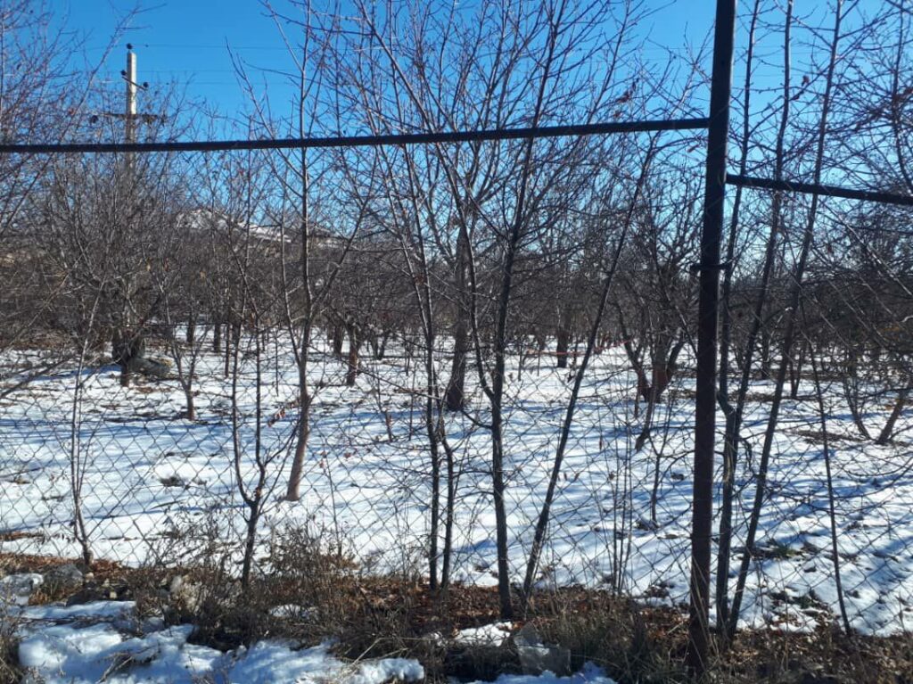 جابان  زمین 1000 متری  دیوار شده