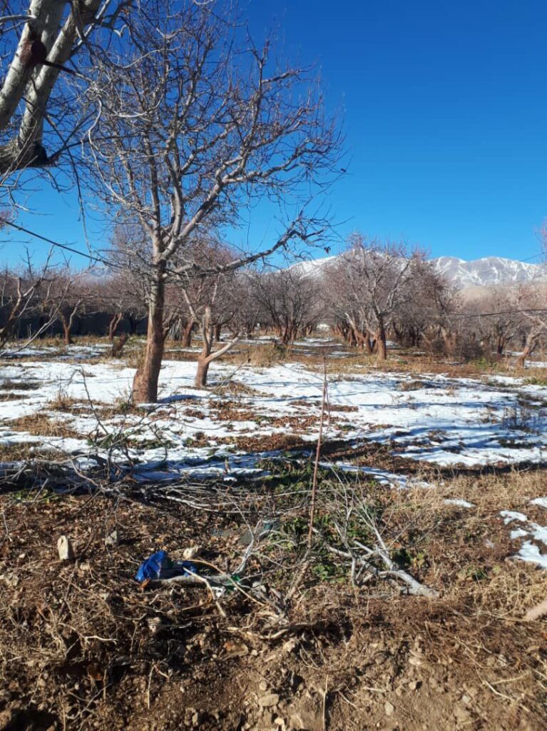 جابان  زمین 1000 متری  دیوار شده