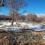 جابان زمین 1000 متری دیوار شده