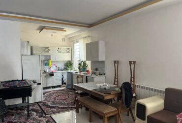 جابان   ویلا دوبلکس داخل بافت