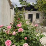 جابان 200متر باغچه ویلایی