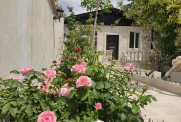 جابان 200متر باغچه ویلایی