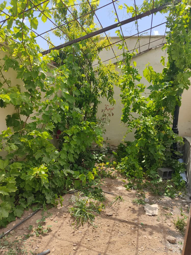 جابان 200متر باغچه ویلایی