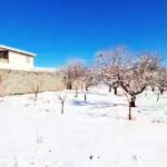 جابان زمین 600 متری