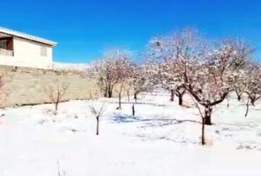 جابان  زمین  600 متری