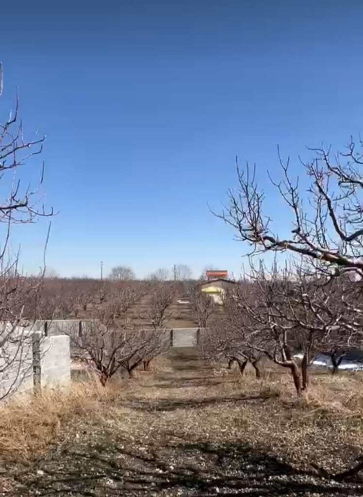 جابان باغچه 500متری