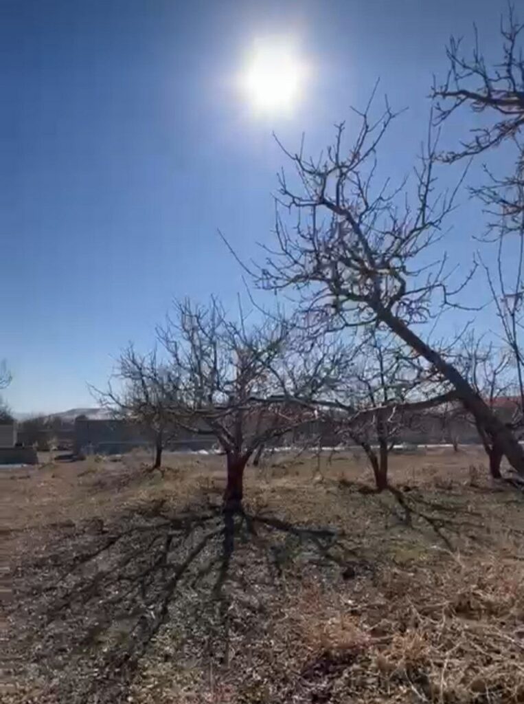 جابان باغچه 500متری