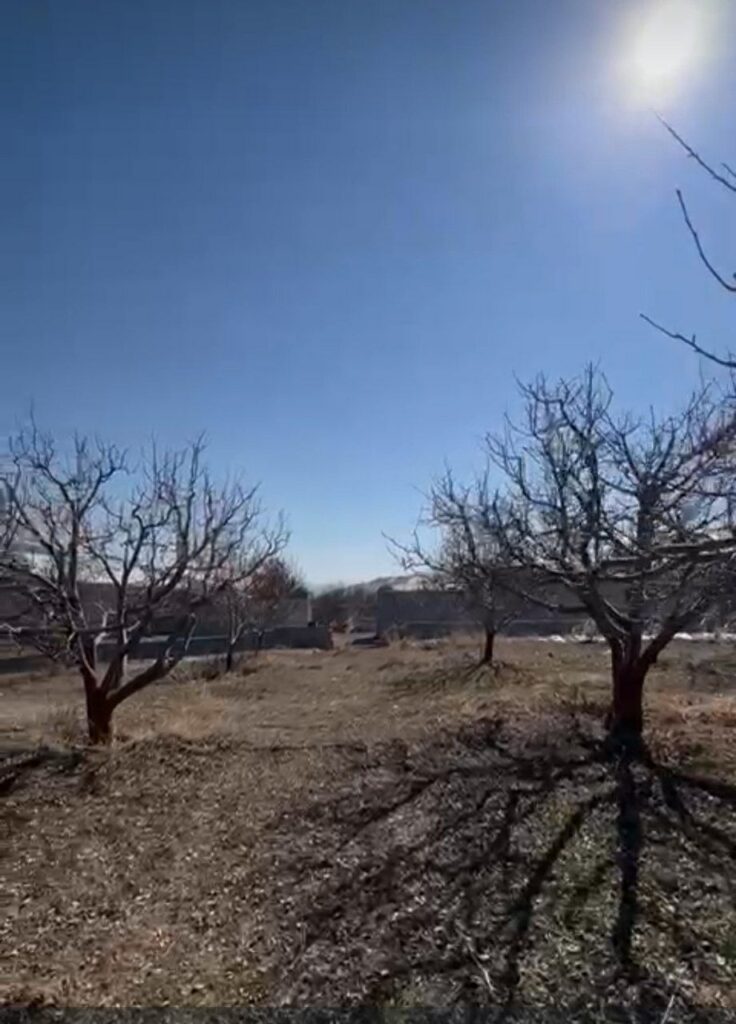 جابان باغچه 500متری