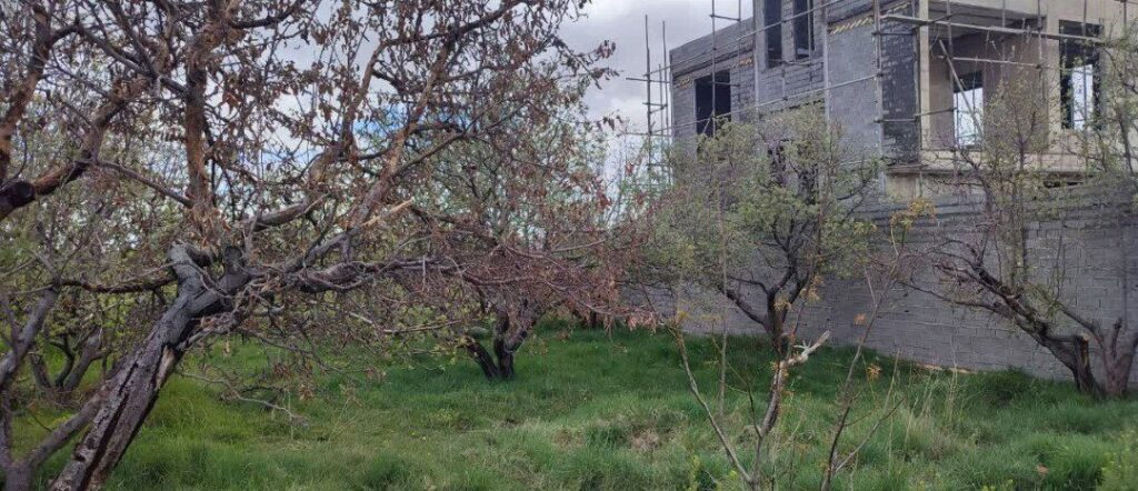 جابان زمین دیوارشده