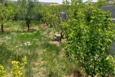 جابان باغچه