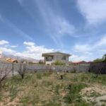 جابان باغستان 800 متر زمین