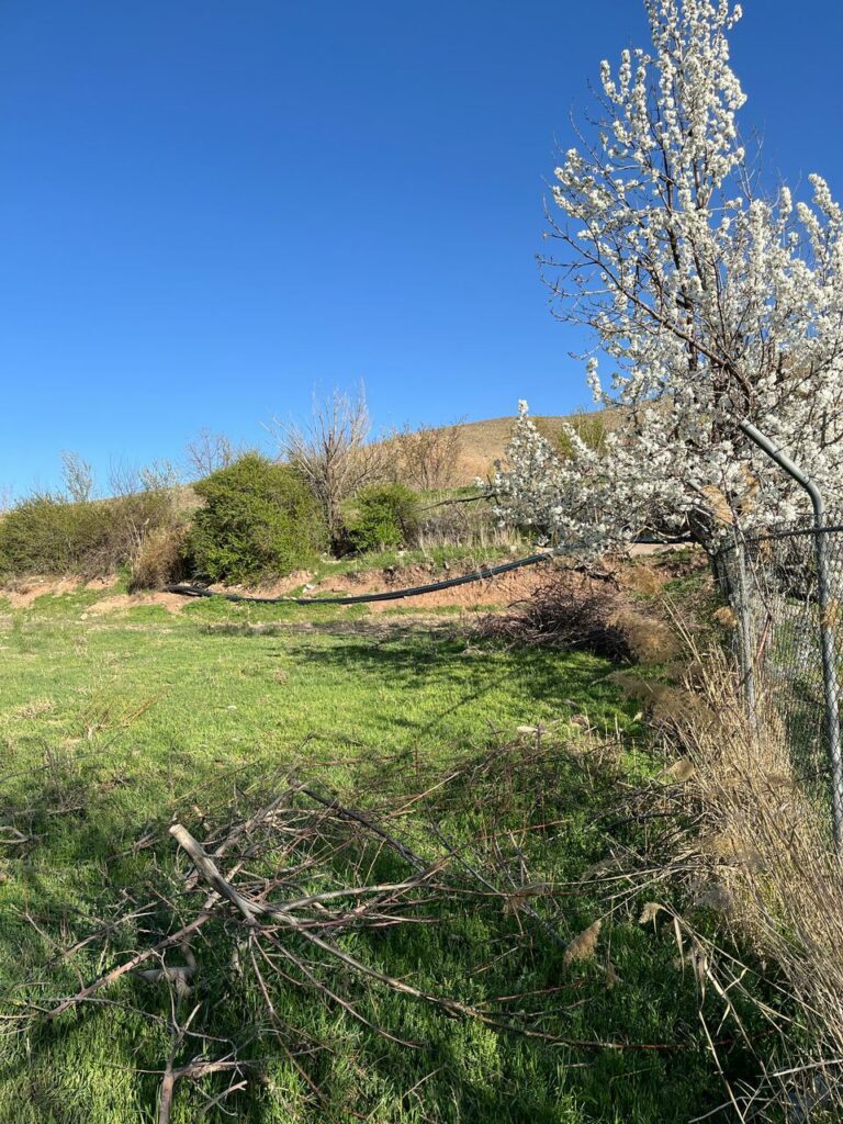 روستا سرخده  300 متر زمین  لوکیشن عالی و مناسب ساخت و قیمت مناسب