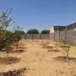 جابان  زمین 459 متری