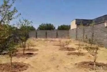 جابان  زمین 459 متری