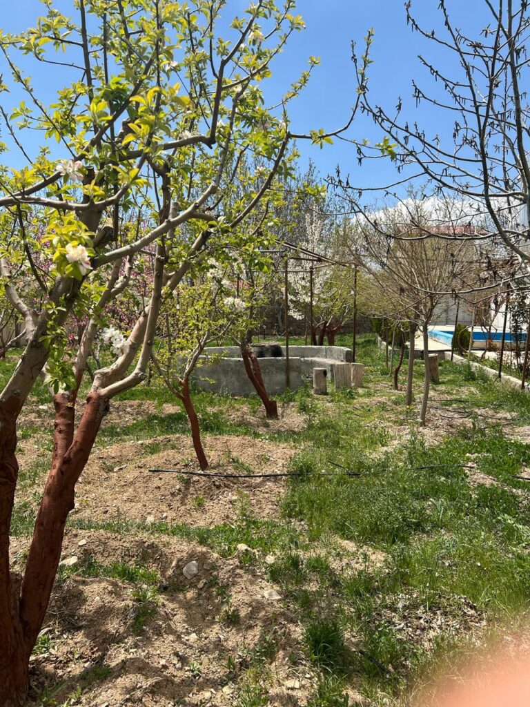 جابان باغ 1500 متر دیوار شده دوکله