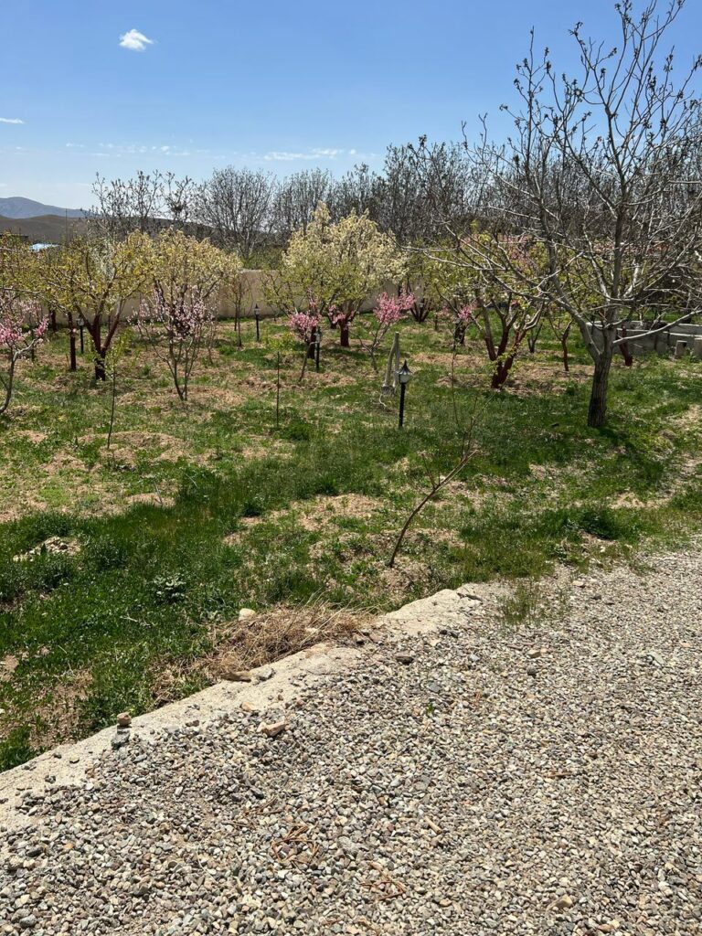 جابان باغ 1500 متر دیوار شده دوکله