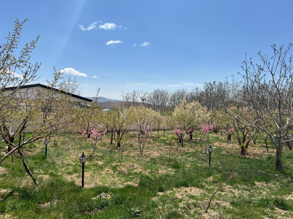 جابان باغ 1500 متر دیوار شده دوکله