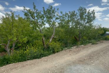 جابان  باغ 500 متر با سند تکبرگ