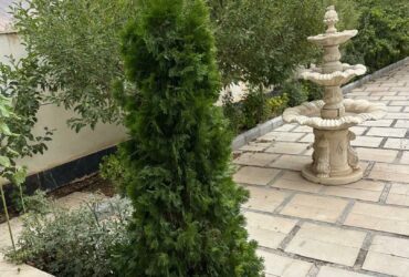 جابان   باغچه   500متر زمین 120 متر بنا