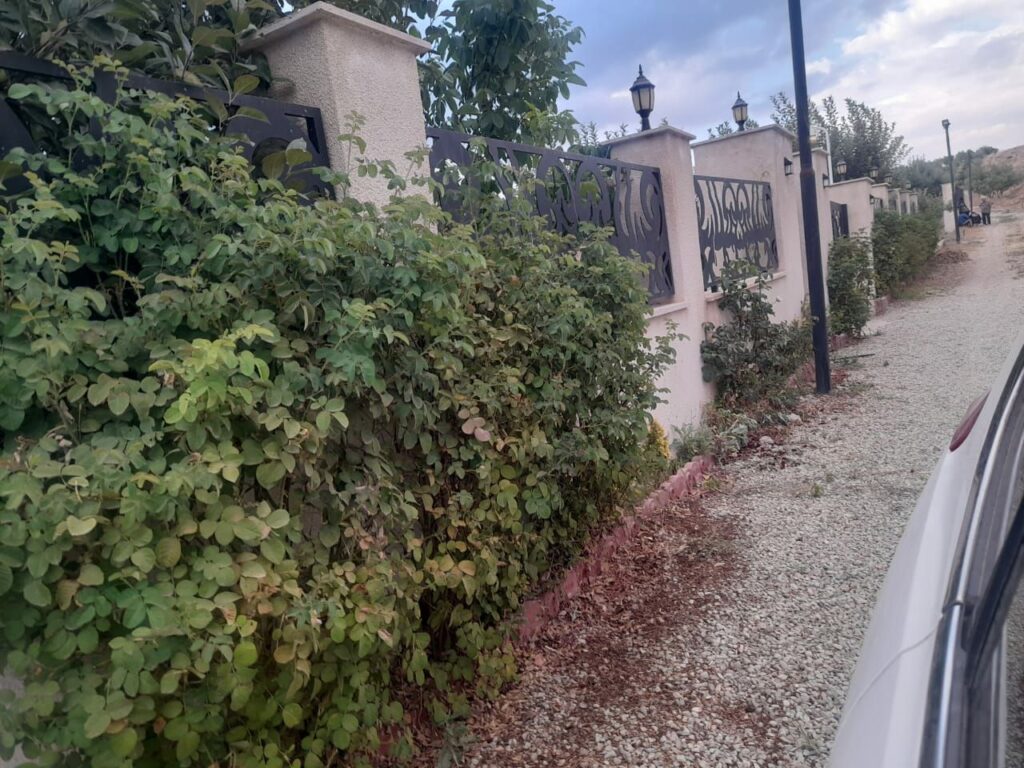 جابان باغ 1000 متری