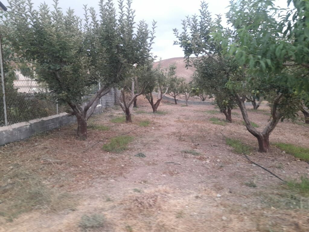 جابان باغ 1000 متری