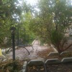 جابان ویلا باغ قدیمی با سند شش دانگ