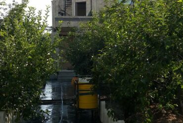 ویلا دماوند وادان