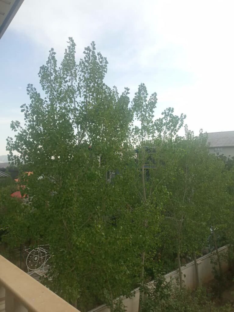 جابان ویلا  500 متر دوبلکس با سند تکبرگ