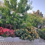 جابان  ویلایی 500 متری