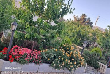 جابان  ویلایی 500 متری