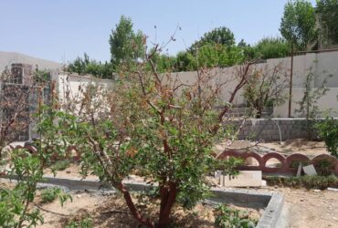 جابان ویلا باسند تکبرگ 400 متر